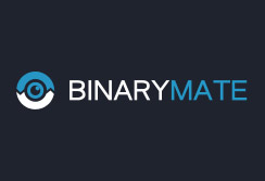 binarymatelogo